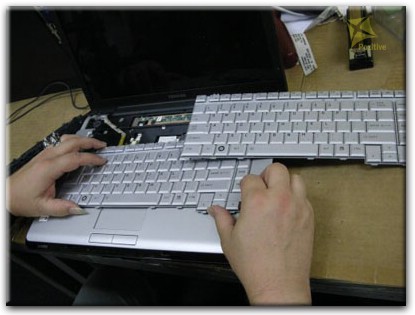 Ремонт клавиатуры на ноутбуке Toshiba в Оренбурге